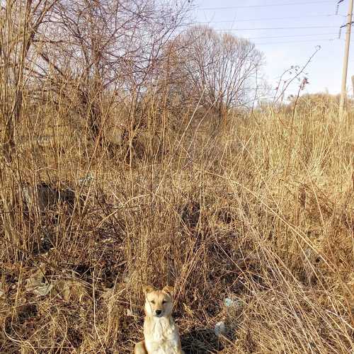 Photo #5716090