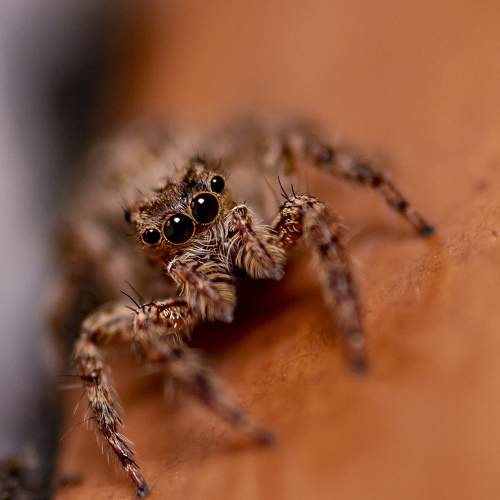 Photo #5716142