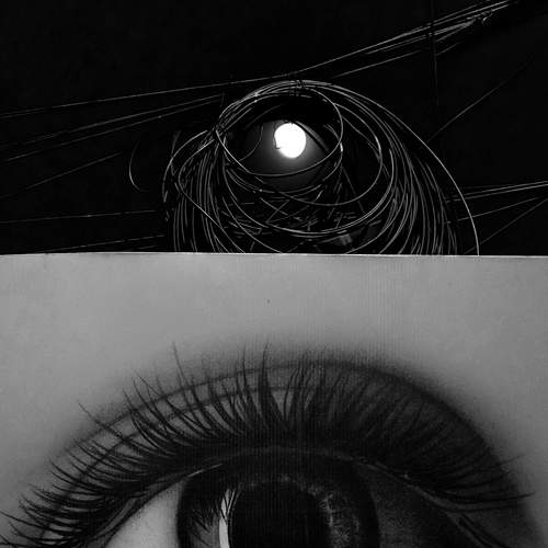 Photo #5716269