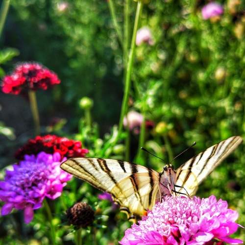 Photo #5716539