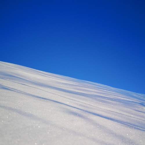Photo #5716684