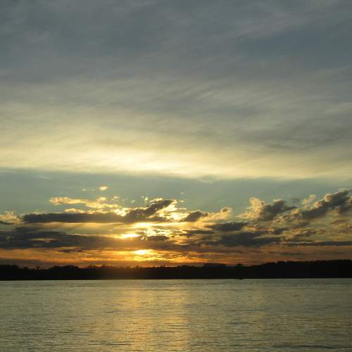 Photo #5716941