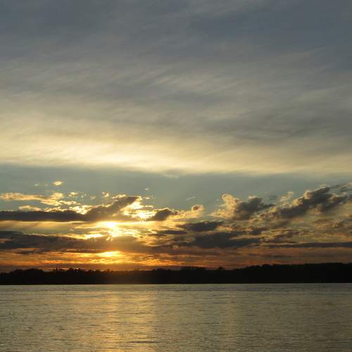 Photo #5716953