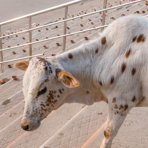 Photo #5717524