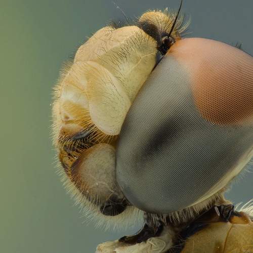 Photo #5717708