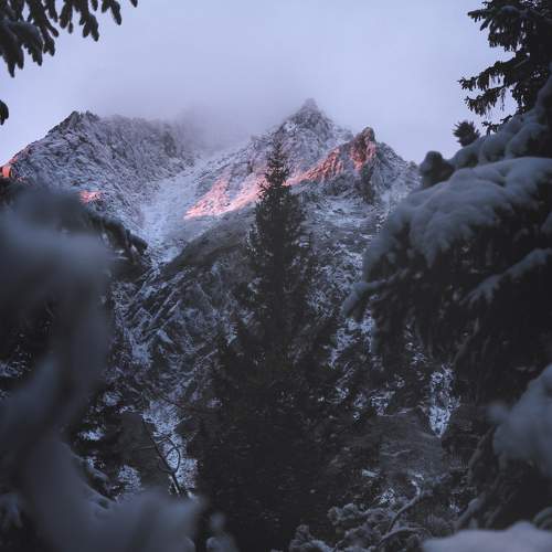 Photo #5717878