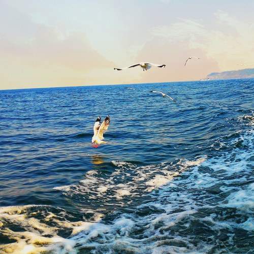 Photo #5717895