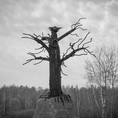 Photo #5717977