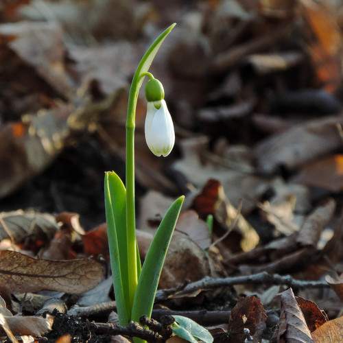 Photo #5718428