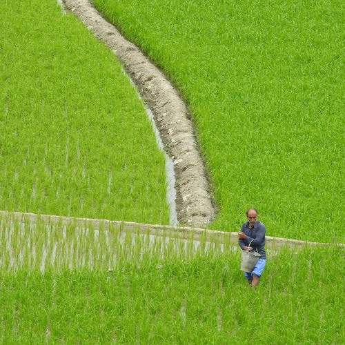 Photo #5718637