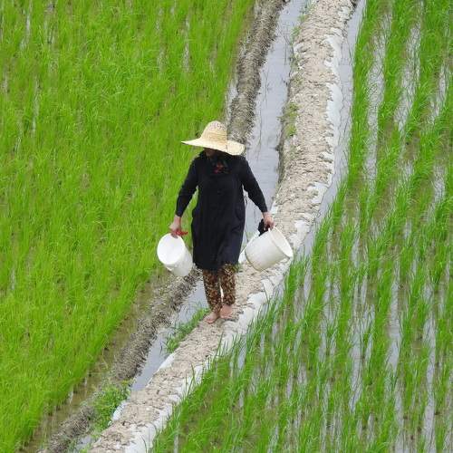 Photo #5718745