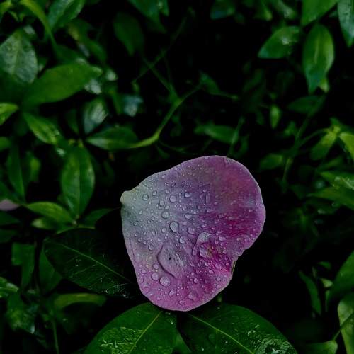Photo #5719009