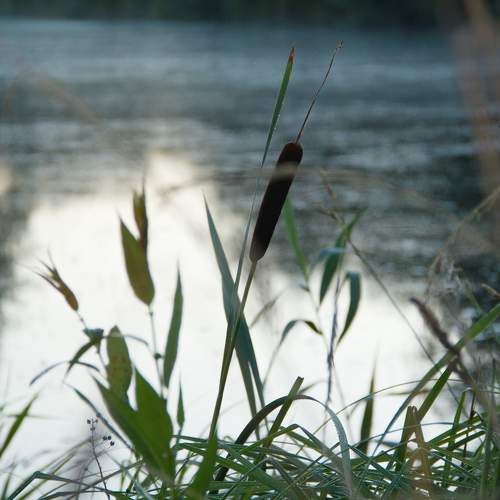 Photo #5719093