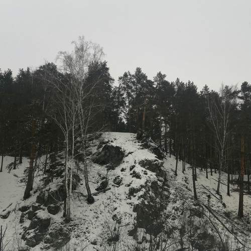 Photo #5719127