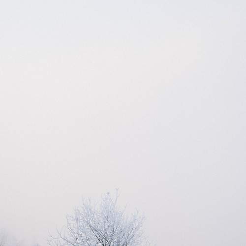 Photo #5719192