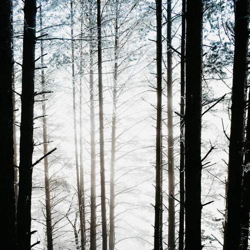 Photo #5719224
