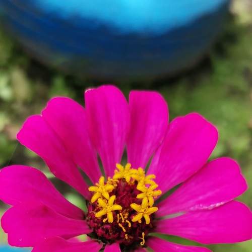 Photo #5719527