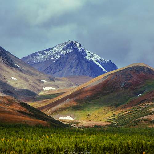 Photo #5719610