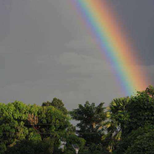 Rainbow Hour