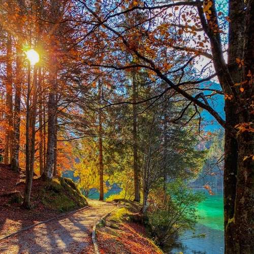 Photo #5720210