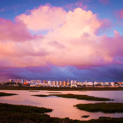 Photo #5720324