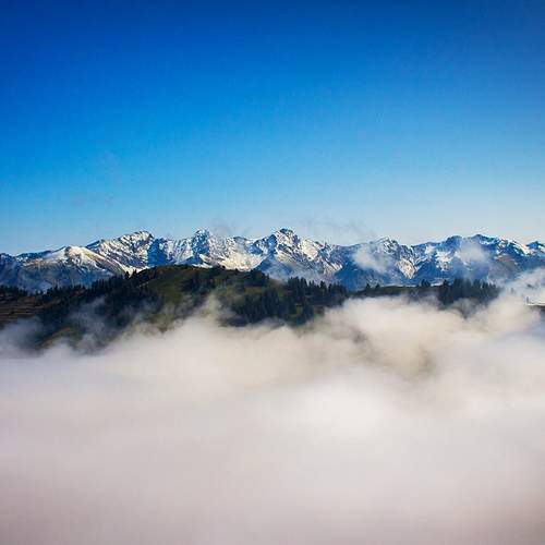 Photo #5720325