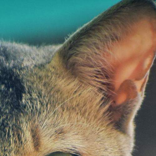 Photo #5720427