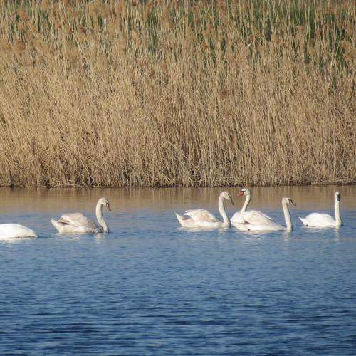 Photo #5720464