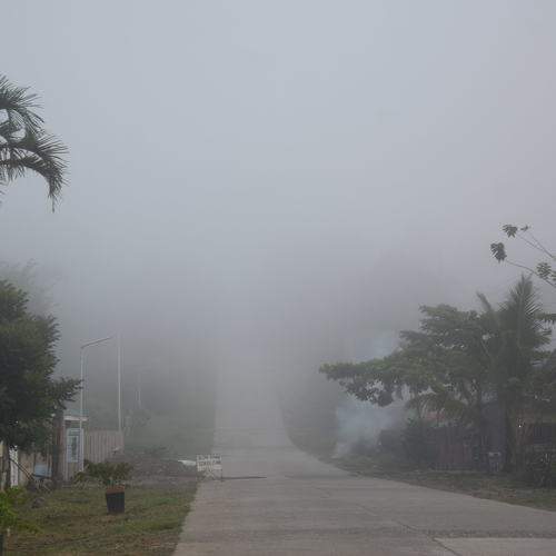 Foggy, Foggy!