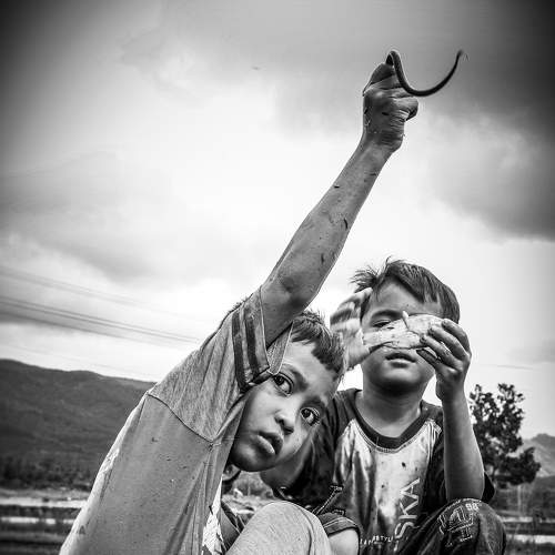 Photo #5720671