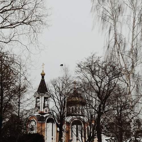 Photo #5720994