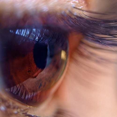 Photo #5721167
