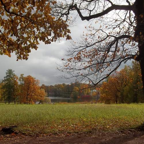 Photo #5721357