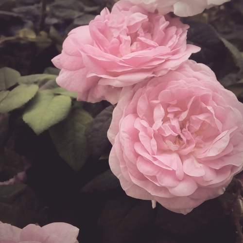 Photo #5721465