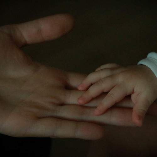 Photo #5721625