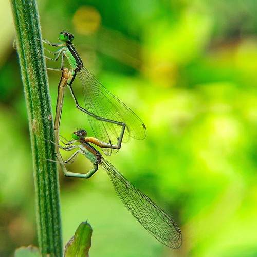 Photo #5721769