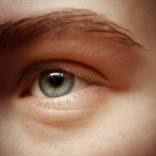 Photo #5721784