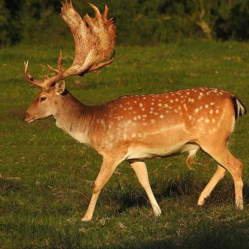 Photo #5721864