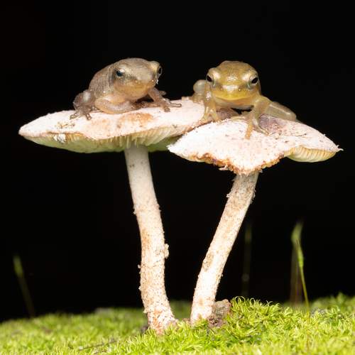 Photo #5722125