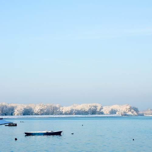 Photo #5722256