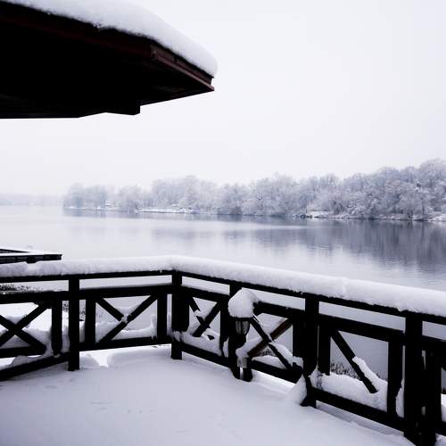Photo #5722270