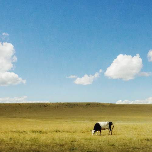 Photo #5722313