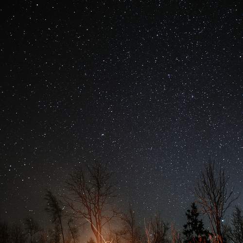 Photo #5723104