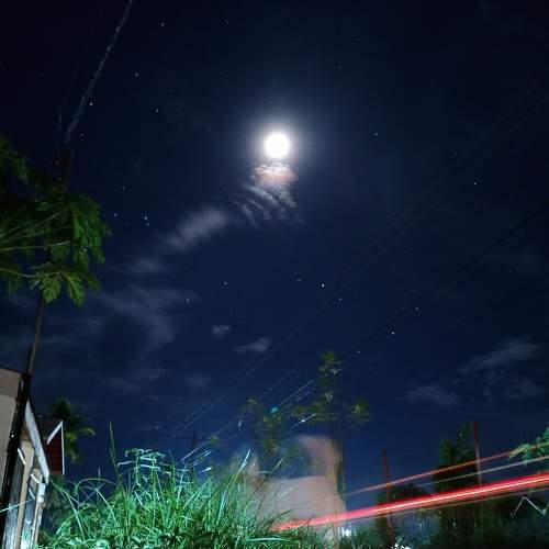 Photo #5723235