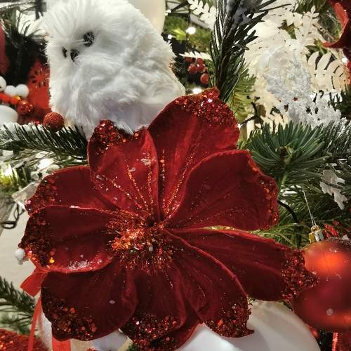 Photo #5723279