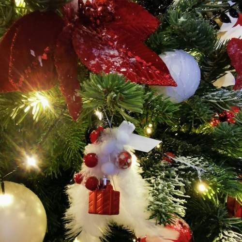Photo #5723284
