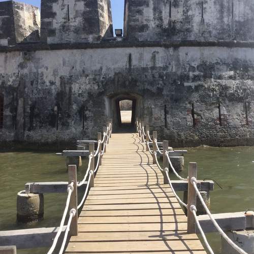 Photo #5723365
