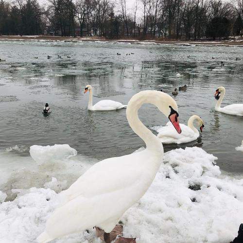 Photo #5723483