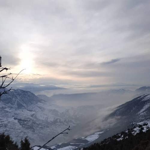 Photo #5723493