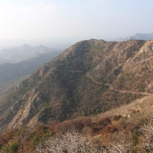 Photo #5723826